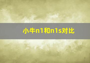 小牛n1和n1s对比