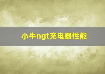 小牛ngt充电器性能