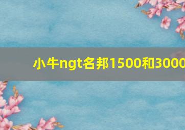 小牛ngt名邦1500和3000