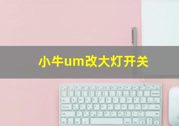 小牛um改大灯开关