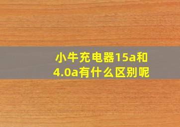 小牛充电器15a和4.0a有什么区别呢