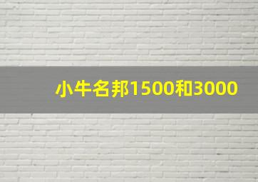 小牛名邦1500和3000