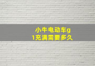 小牛电动车g1充满需要多久