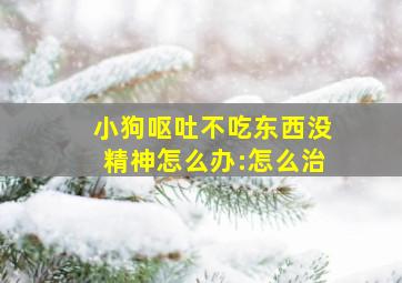 小狗呕吐不吃东西没精神怎么办:怎么治