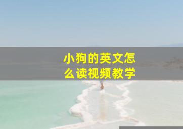 小狗的英文怎么读视频教学