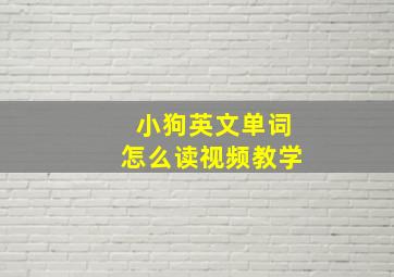 小狗英文单词怎么读视频教学