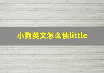 小狗英文怎么读little