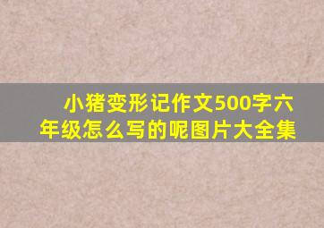 小猪变形记作文500字六年级怎么写的呢图片大全集