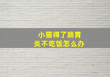 小猫得了肠胃炎不吃饭怎么办