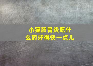 小猫肠胃炎吃什么药好得快一点儿