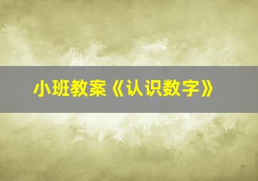 小班教案《认识数字》