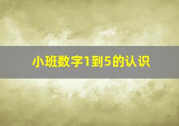 小班数字1到5的认识