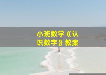 小班数学《认识数字》教案