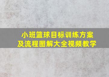 小班篮球目标训练方案及流程图解大全视频教学