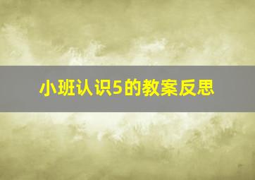 小班认识5的教案反思