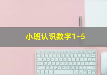 小班认识数字1~5