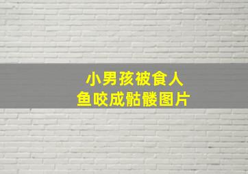 小男孩被食人鱼咬成骷髅图片