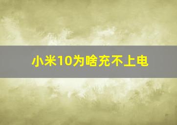 小米10为啥充不上电