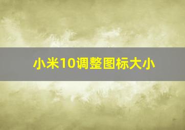 小米10调整图标大小