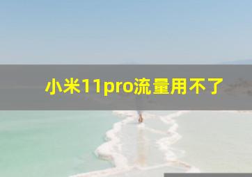 小米11pro流量用不了