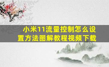 小米11流量控制怎么设置方法图解教程视频下载