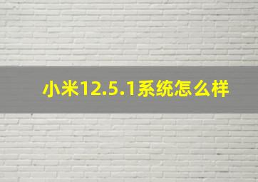 小米12.5.1系统怎么样