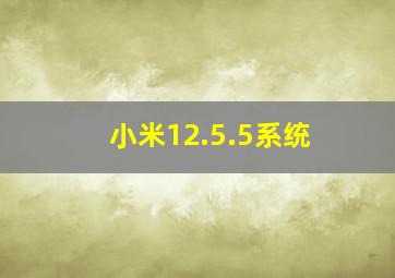 小米12.5.5系统