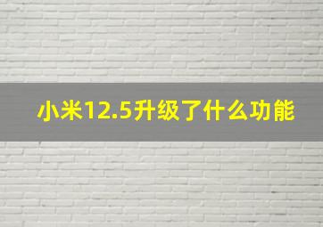 小米12.5升级了什么功能