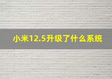 小米12.5升级了什么系统