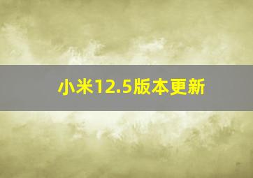 小米12.5版本更新