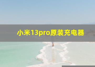 小米13pro原装充电器