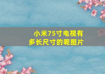 小米75寸电视有多长尺寸的呢图片