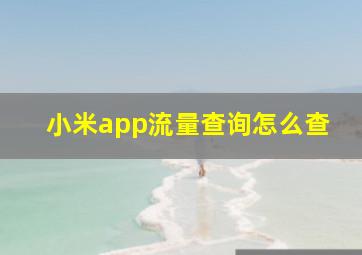 小米app流量查询怎么查