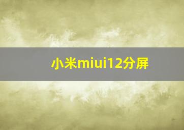 小米miui12分屏