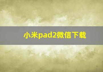 小米pad2微信下载