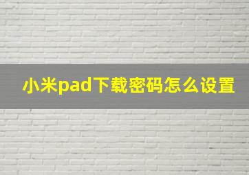 小米pad下载密码怎么设置