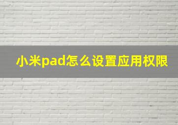 小米pad怎么设置应用权限