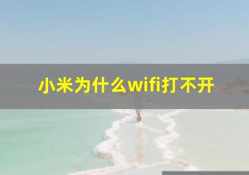 小米为什么wifi打不开