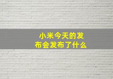 小米今天的发布会发布了什么