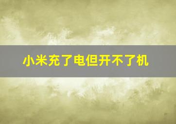 小米充了电但开不了机