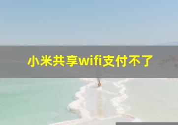 小米共享wifi支付不了