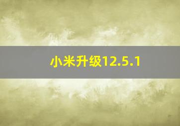 小米升级12.5.1