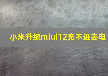 小米升级miui12充不进去电