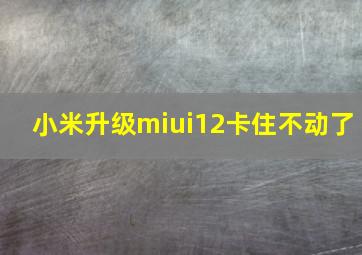 小米升级miui12卡住不动了