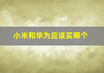 小米和华为应该买哪个