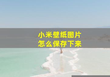 小米壁纸图片怎么保存下来