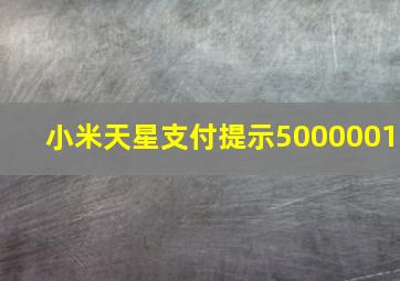 小米天星支付提示5000001