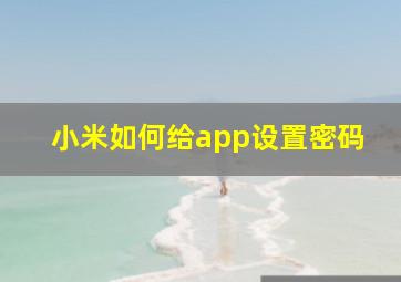 小米如何给app设置密码