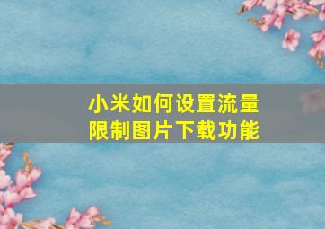 小米如何设置流量限制图片下载功能