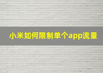 小米如何限制单个app流量